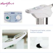 Portable Electric Ozone Facial Vaporizer