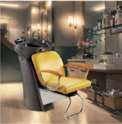 Shampoo Chair